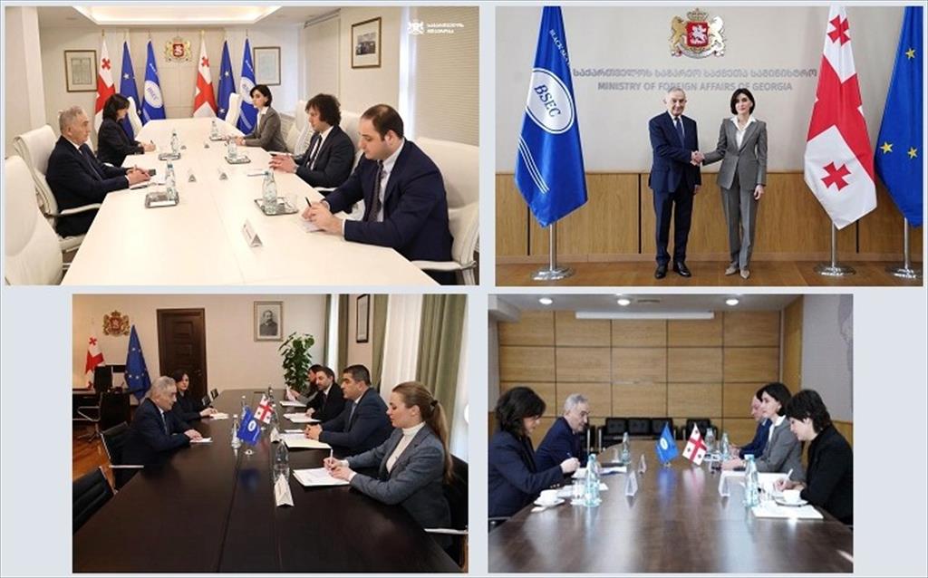 Working visit to Tbilisi