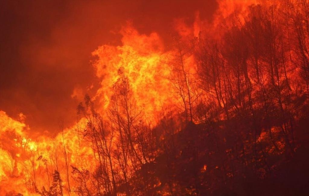 Wildfires across Türkiye