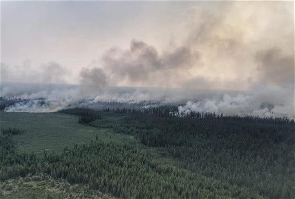 Recent huge wildfires in the Siberian region
