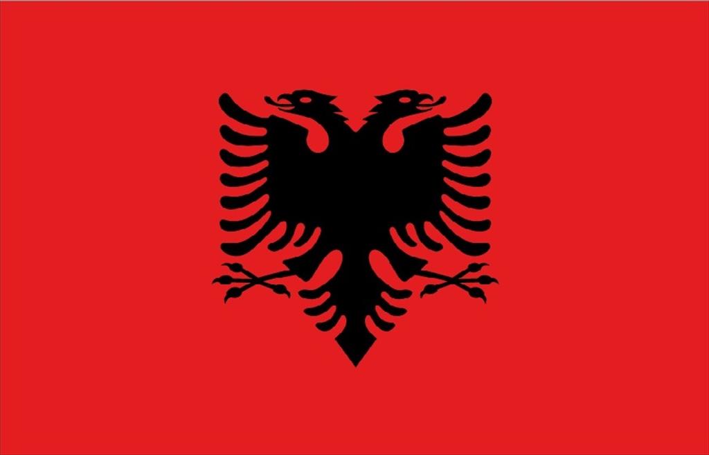 Solidarity message to the Republic of Albania