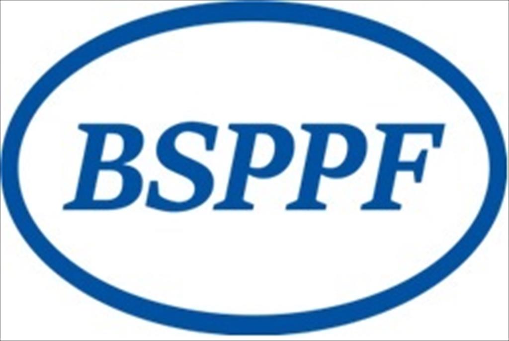 Annual Meeting of the Steering Committee of the Black Sea Project Promotion Facility (BSPPF) 