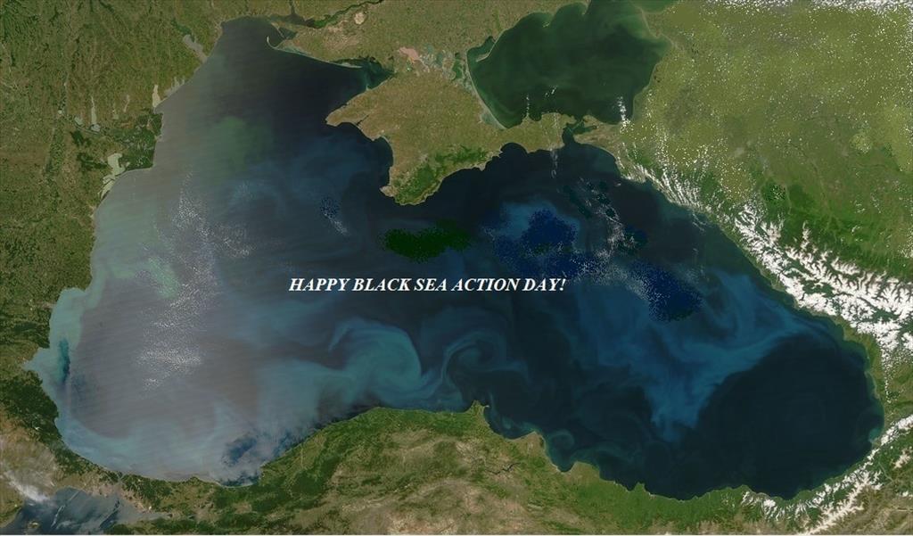 Black Sea International Action Day